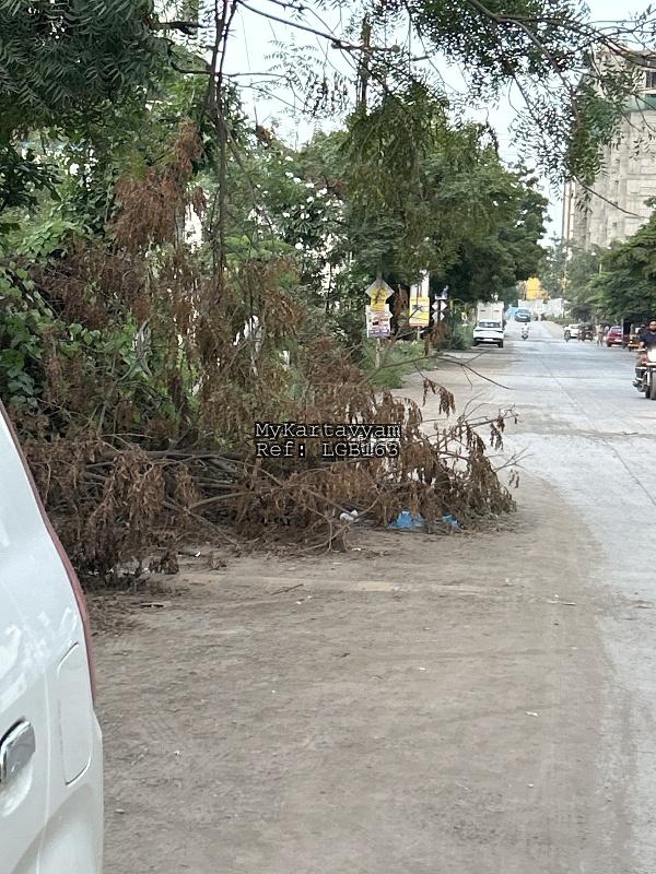 Dry Tree Broken