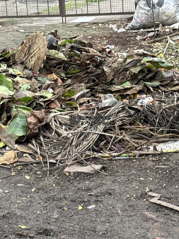 Dry leaves